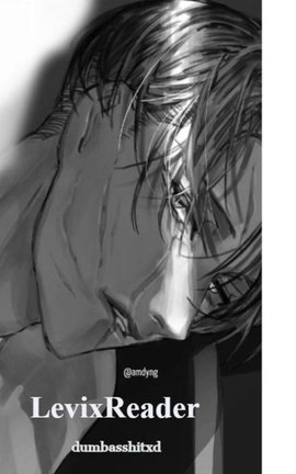 LevixReader