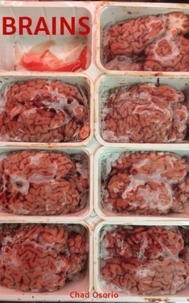 BRAINS