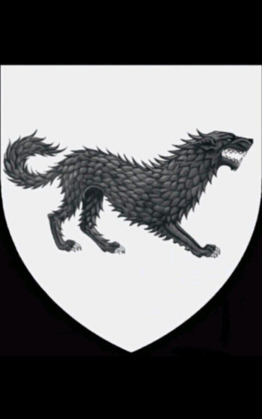Jon Stark