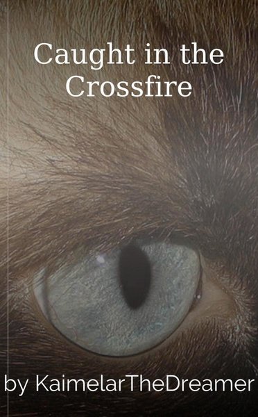 Caught in the Crossfire