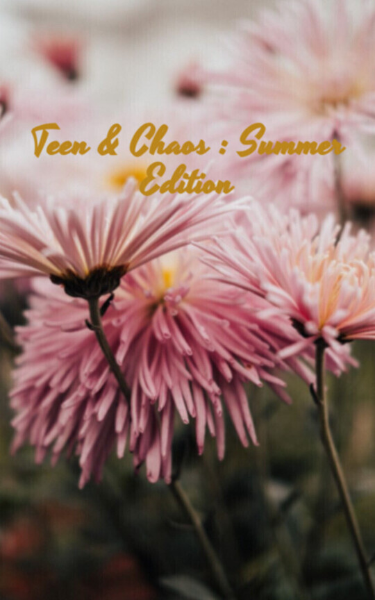 Teen & Chaos : Summer Edition