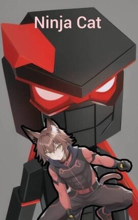 Ninja Cat.The power blast