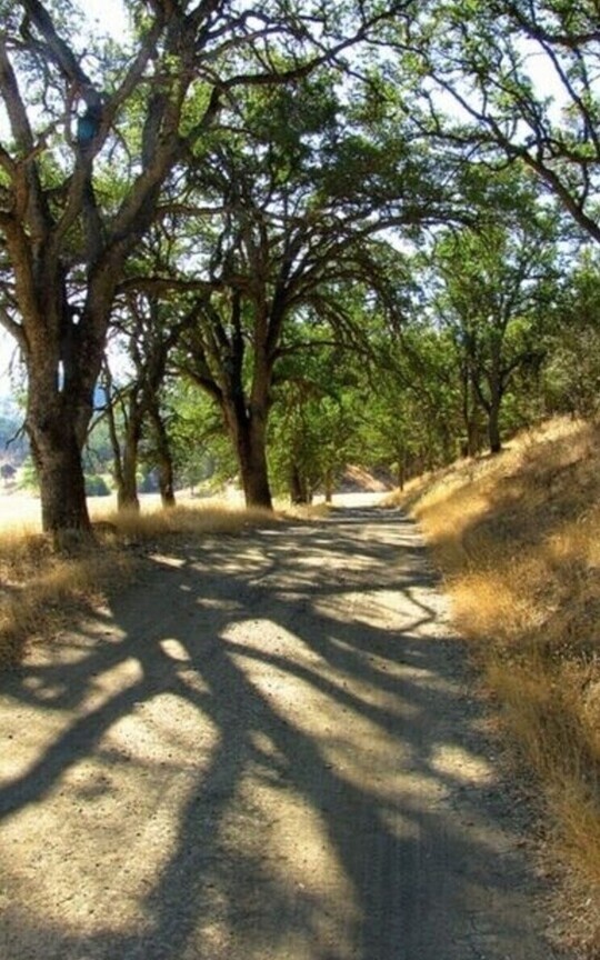 Shadow of the Trail, Light on the Horizon