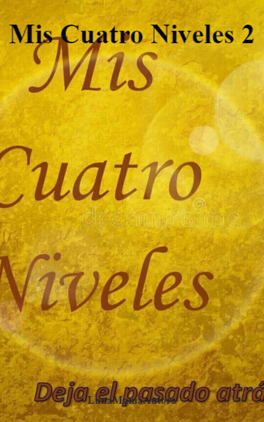 Mis Cuatro Niveles 2
