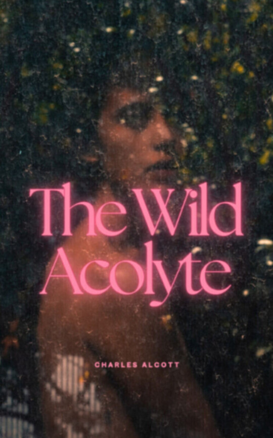 The Wild Acolyte