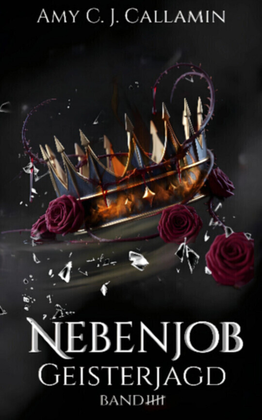 Nebenjob Geisterjagd - Band 5