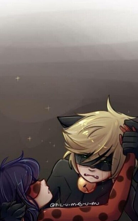 Adieu Ladybug