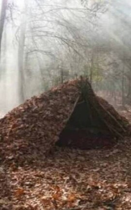 The survival
skills.