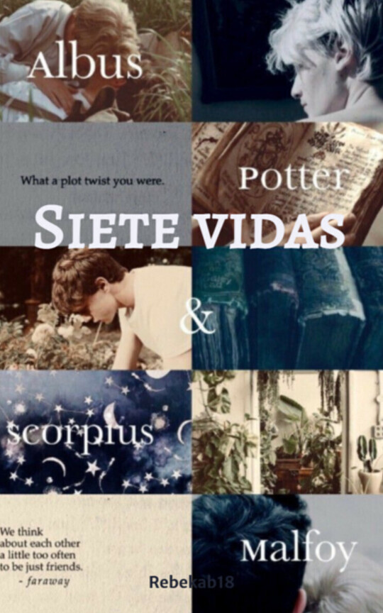 Siete vidas