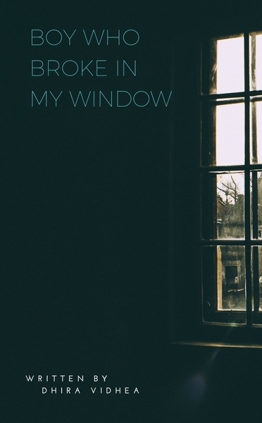 Boy Who Broke In My Window