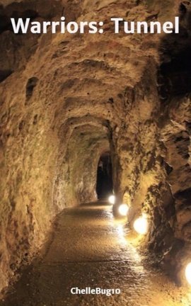Warriors: Tunnel