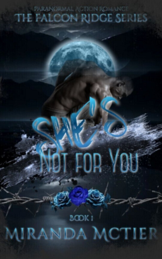 She's Not for You (The Falcon Ridge Series Book 1)