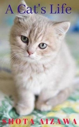 A Cat's Life