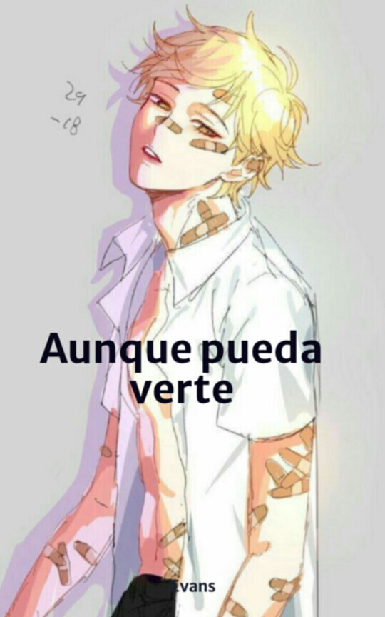 Aunque pueda verte