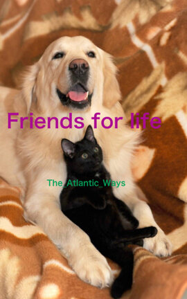 Friends for life