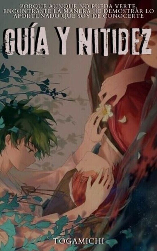 Guía y nitidez [Tododeku]