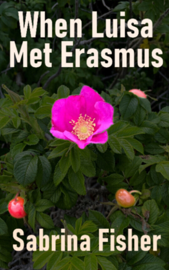 When Luisa Met Erasmus