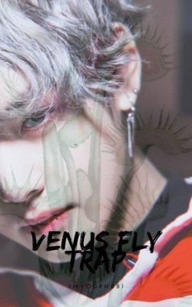 Venus Fly Trap