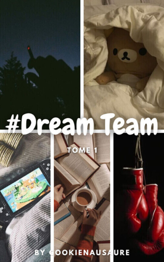 #Dream Team tome 1 (fan fiction amour sucré High School Life)
