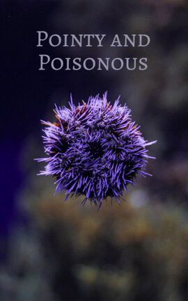 Pointy and Poisonous