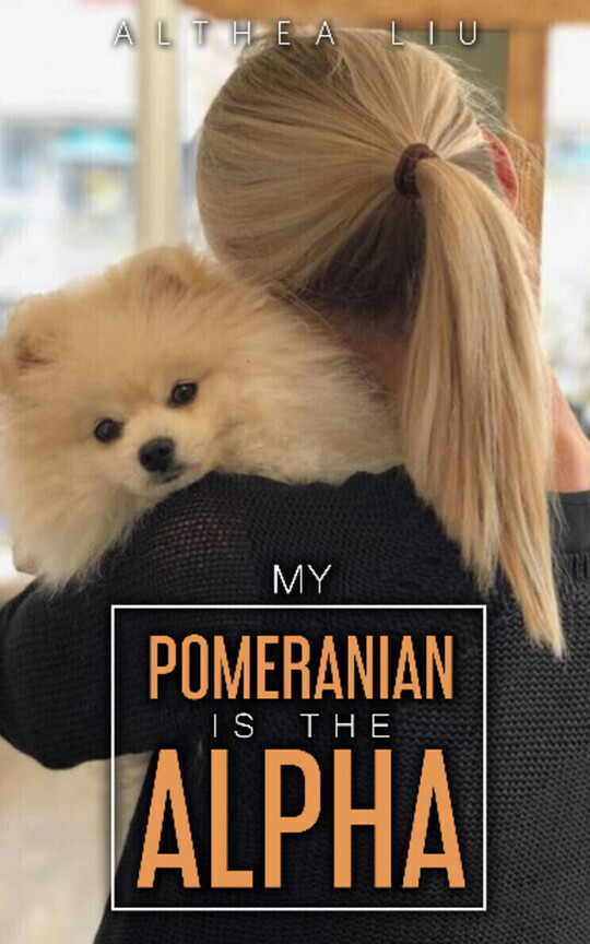 My Pomeranian is the Alpha