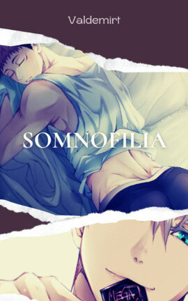 Somnofilia