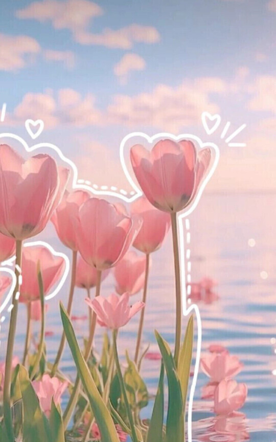 𝐊𝐢𝐬𝐬 ┆ ᥫ᭡ ٭