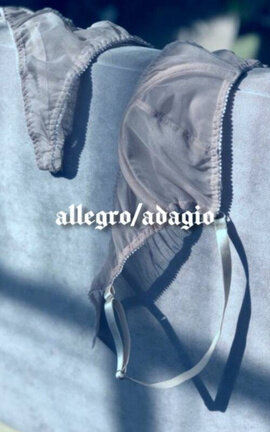 Allegro/Adagio (l+h)