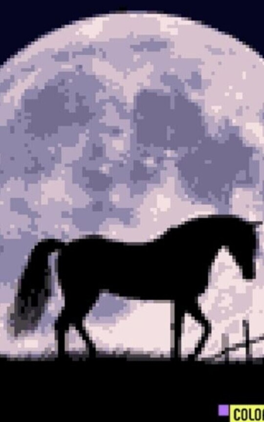 The dark horse