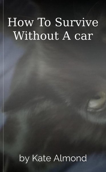 How To Survive Without A car