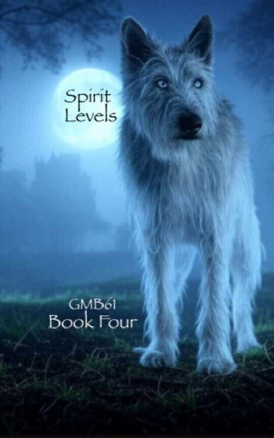 Spirit Levels