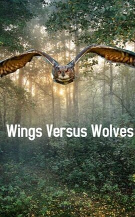 Wings Versus Wolves