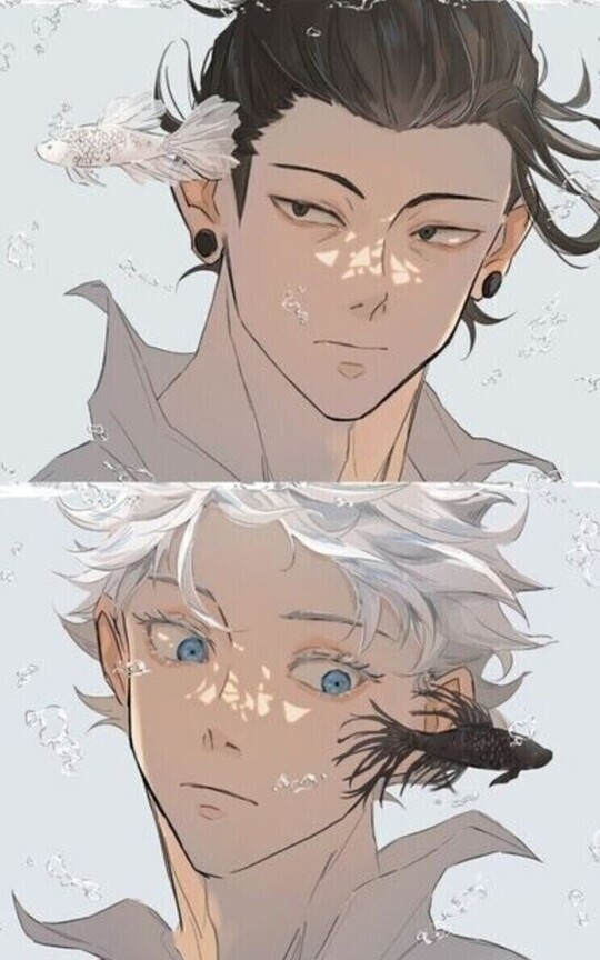 ☆Cartas/poemas-Satosugu☆