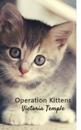 Operation Kittens