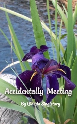 Accidentally Meeting 