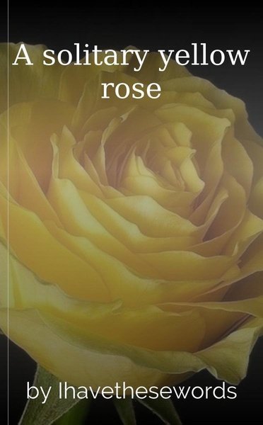 A solitary yellow rose