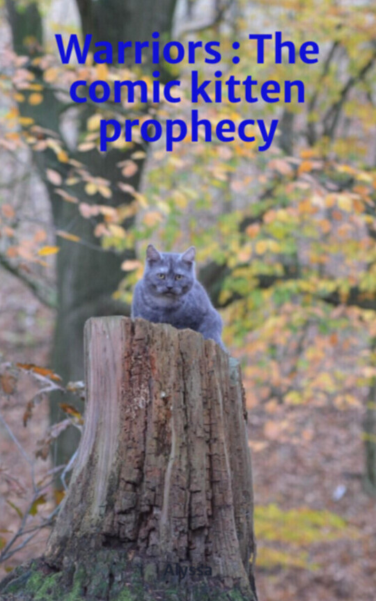 Warriors : The comic kitten prophecy