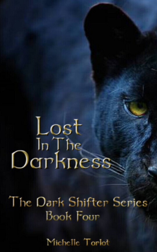 Lost In The Darkness