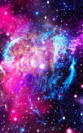 Pet in the Cosmos 