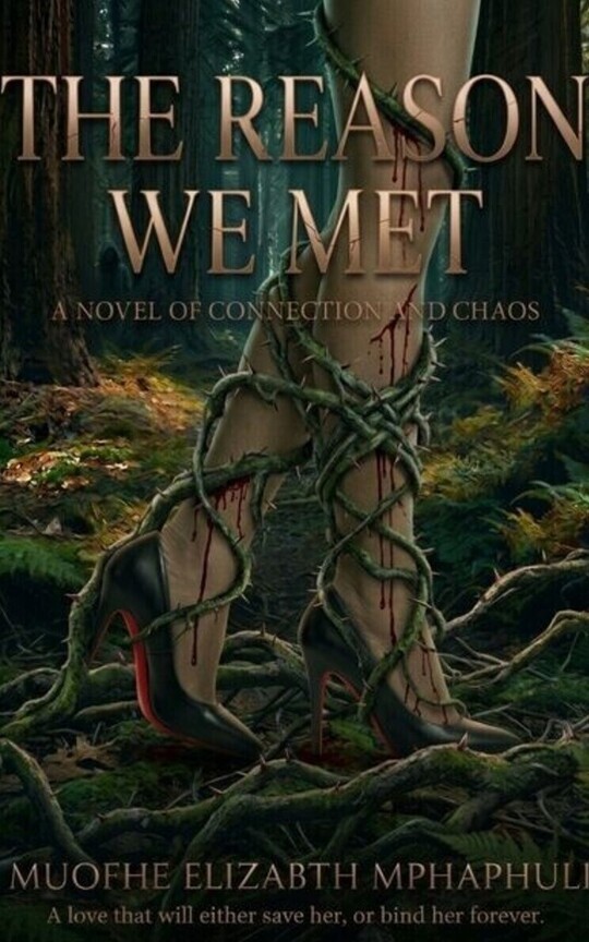 The reason we met
