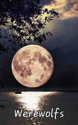 WereWolfs