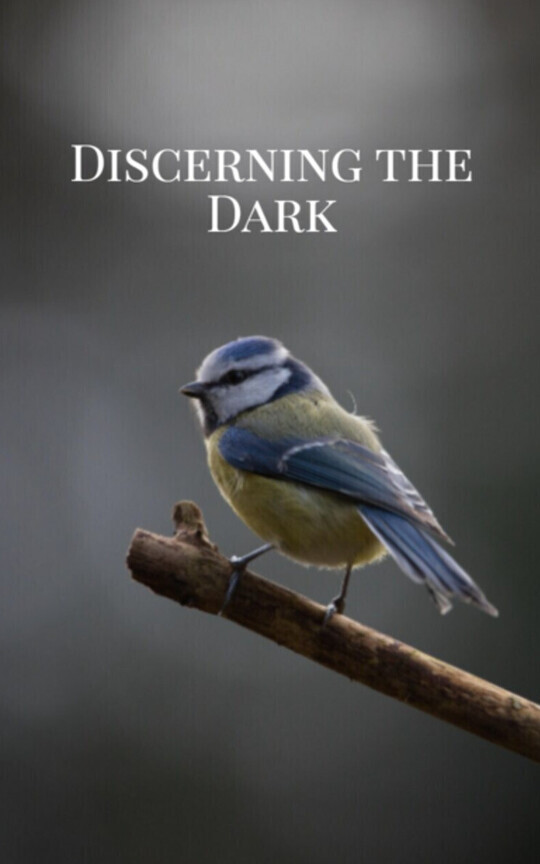 Discerning the Dark