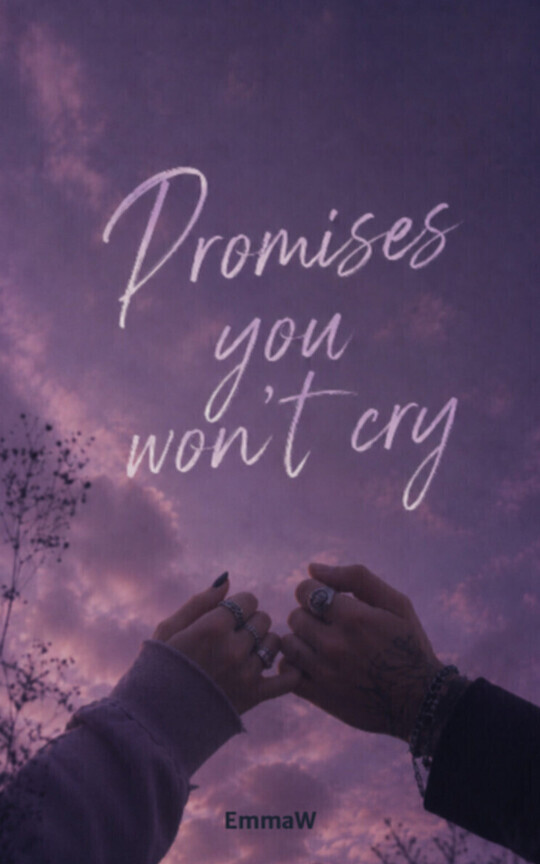 Promises you won't cry