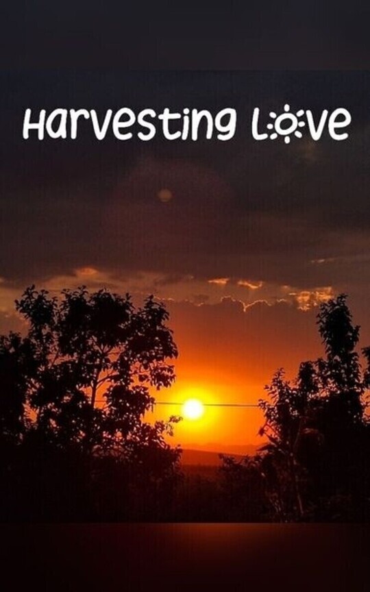 Harvesting Love [wlw]