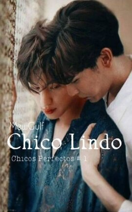 Chicos Perfectos # 1 - Chico Lindo