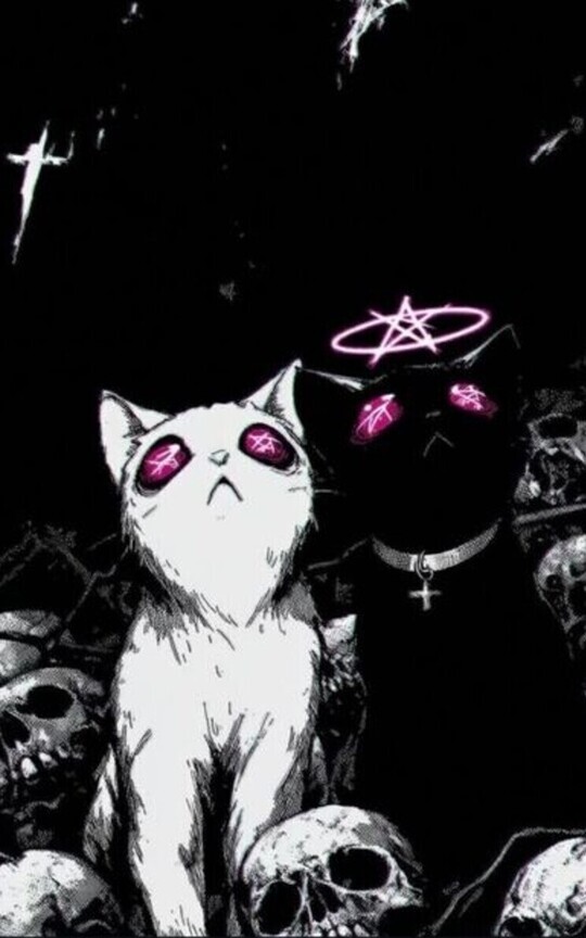 Amor Gatuno