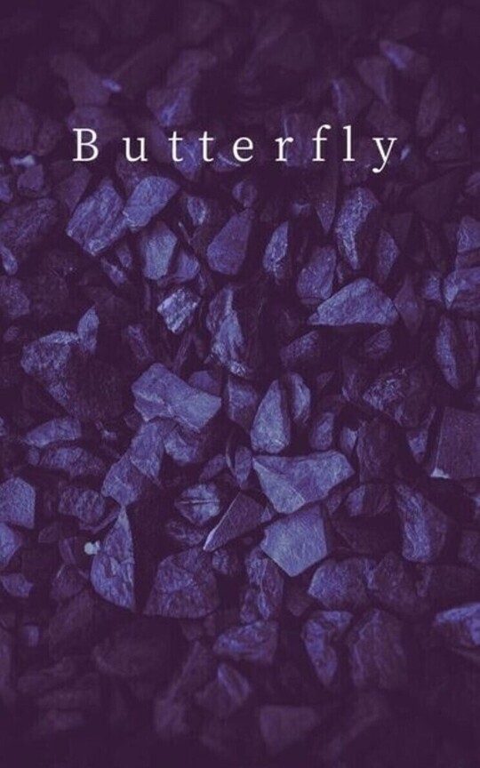 Butterfly 