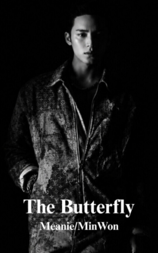 The Butterfly 4 - Meanie/MinWon 