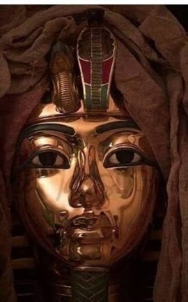 The Pharaoh's Fate