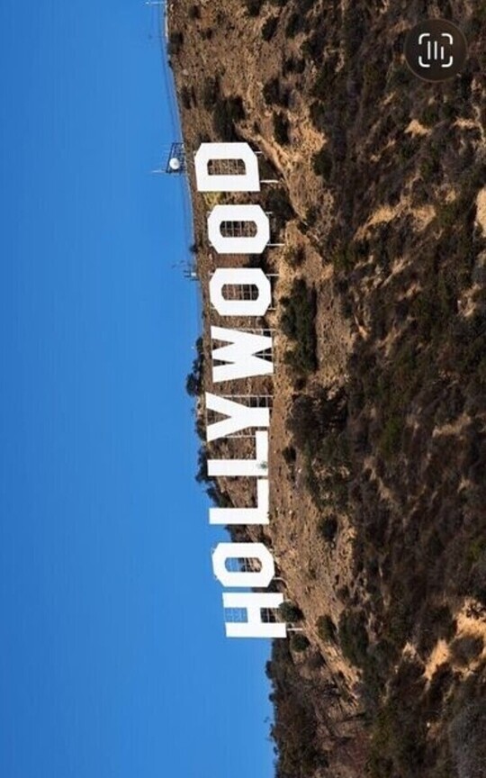 A Hollywood Tale